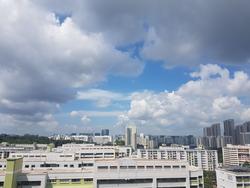 Hillview Regency (D23), Condominium #148569242